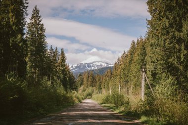Dağın yamacında ağaçlar olan bir patika.