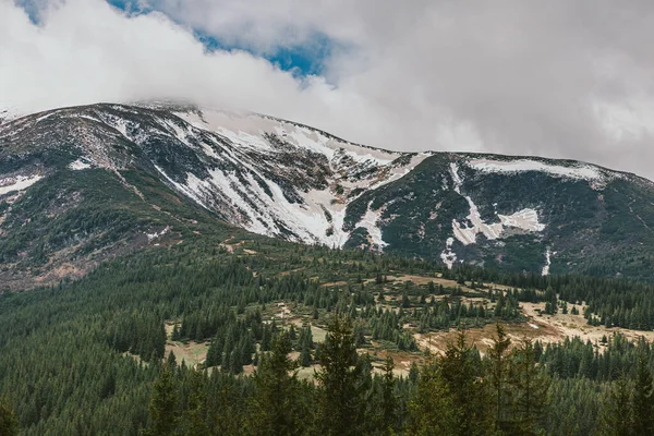 Een trein bedekt met sneeuw met een berg op de achtergrond — Stockfoto