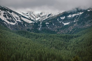 Karla kaplı bir dağın kenarında bir işaret.