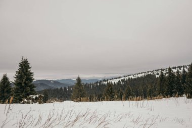 Karla kaplı yamaçta kar kayağı yapan bir adam.
