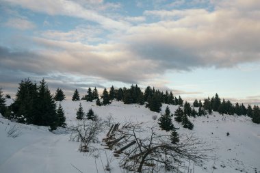 Karla kaplı bir arazi yolculuğu