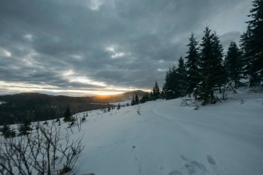 Karla kaplı bir yamacın üstünde bir işaret.