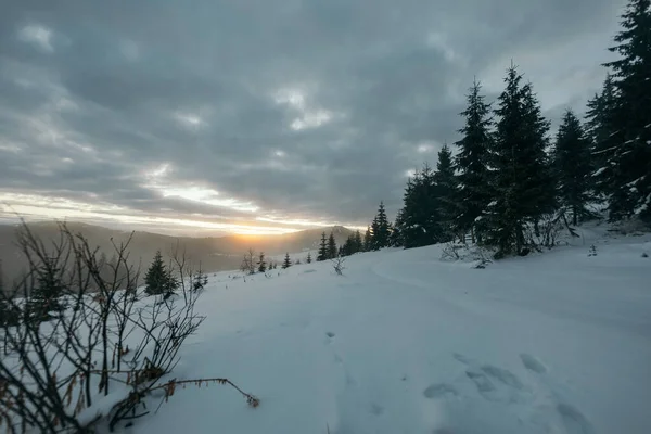 Uma inclinação coberta de neve viajar — Fotografia de Stock