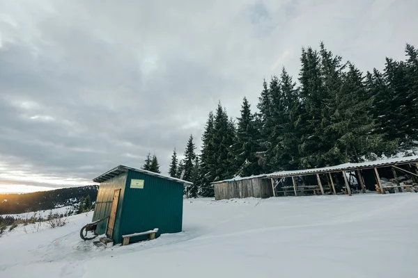 Un train couvert de neige — Photo