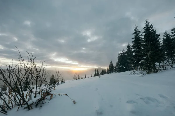 Uma inclinação coberta de neve viajar — Fotografia de Stock