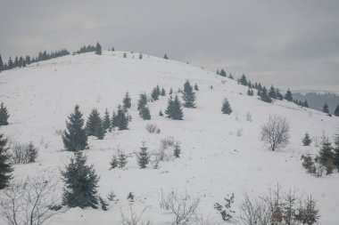 Karla kaplı yamaçta kar kayağı yapan bir adam.