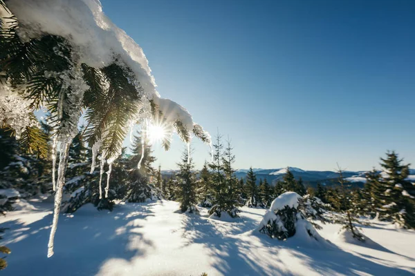 Um homem montando esquis em uma encosta coberta de neve — Fotografia de Stock