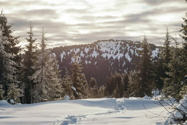 Ein Mann fährt mit Skiern einen schneebedeckten Hang hinunter — Stockfoto