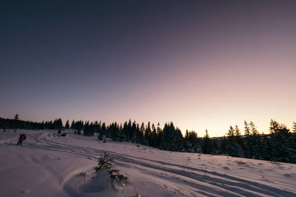 Um pôr do sol sobre a neve — Fotografia de Stock