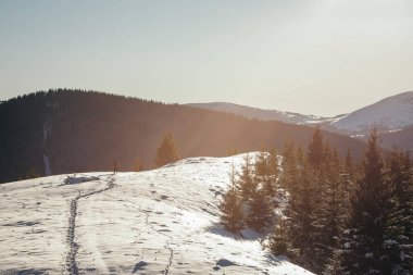 Karla kaplı bir dağın tepesinde bir işaret