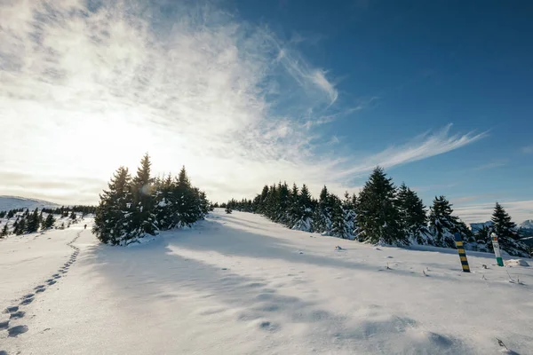 Eine Gruppe von Menschen fährt mit Skiern einen schneebedeckten Hang hinunter — Stockfoto