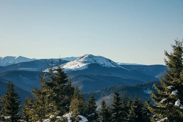 Ein Schild an der Seite eines schneebedeckten Berges — Stockfoto