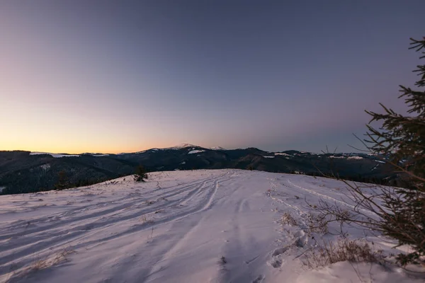 Karla kaplı bir tarlaya yakın çekim — Stok fotoğraf
