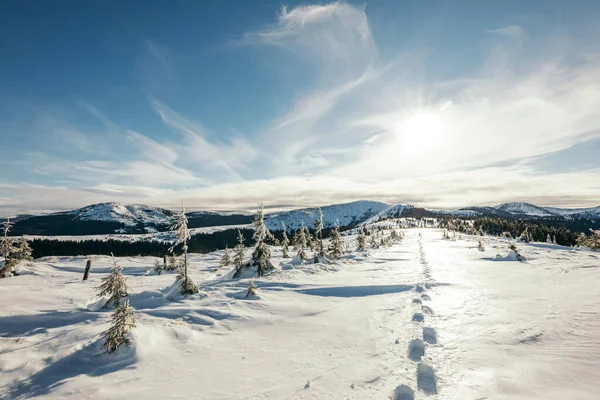 Um grupo de pessoas caminhando através de uma encosta coberta de neve — Fotografia de Stock