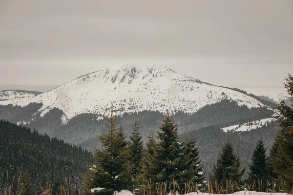 Een besneeuwde bergtocht — Stockfoto