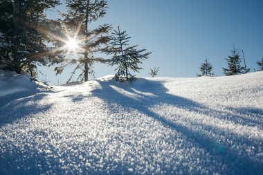 Karla kaplı yamaçta kayak yapan bir adam.