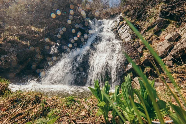 Een Waterval Met Bomen Achtergrond Hoge Kwaliteit Foto — Stockfoto