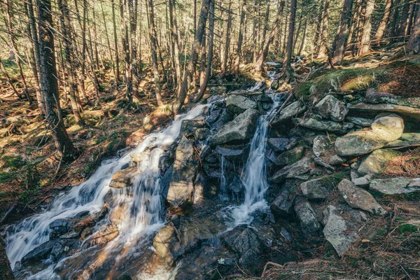 Wodospad w lesie — Zdjęcie stockowe