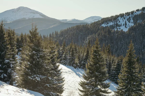 Ein Mann fährt mit Skiern einen schneebedeckten Berg hinunter — Stockfoto