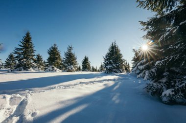 Karla kaplı yamaçta kayak yapan bir adam.