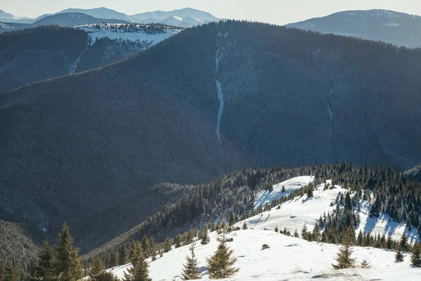 Ein Mann fährt mit einem Snowboard einen schneebedeckten Berg hinunter — Stockfoto