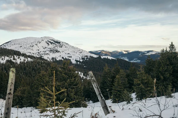 Ein Schild an der Seite eines schneebedeckten Berges — Stockfoto