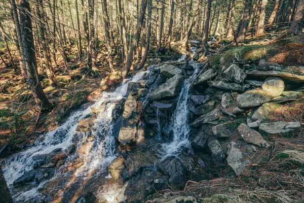 Een waterval in een bos — Stockfoto