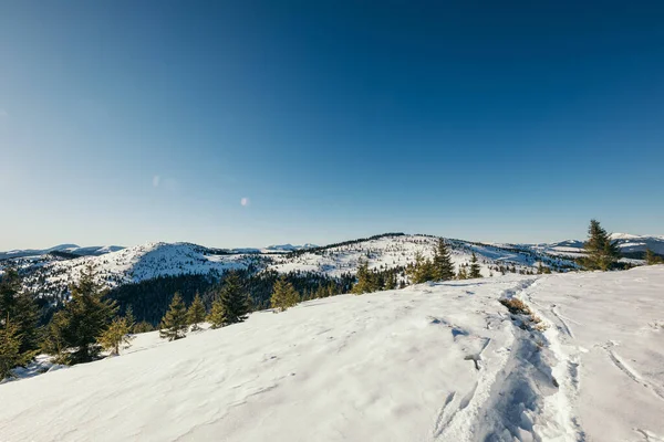 En man rider skidor ner för en snötäckt sluttning — Stockfoto