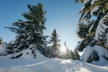 Karla kaplı yamaçta kayak yapan bir adam.