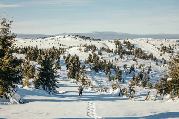 Un groupe de skieurs sur une pente enneigée — Photo