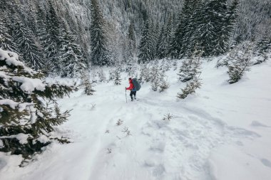 Karla kaplı yamaçta kayak yapan bir adam.