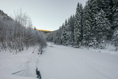 Karla kaplı yamaçta kayak yapan bir adam.