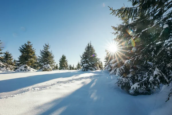 A person riding skis down a snow covered slope — Stock Photo, Image