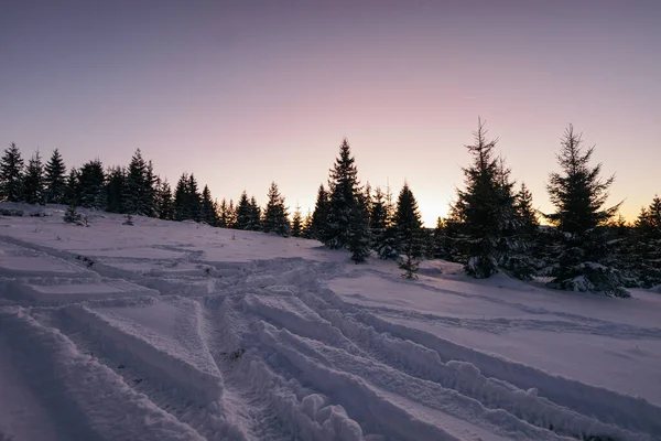 Um close de um campo coberto de neve — Fotografia de Stock