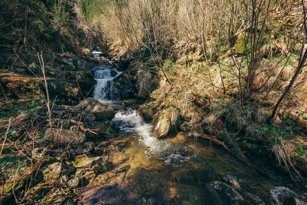 Een waterval in een bos — Stockfoto