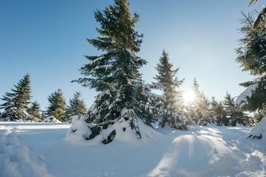 Karla kaplı yamaçta kayak yapan bir adam.