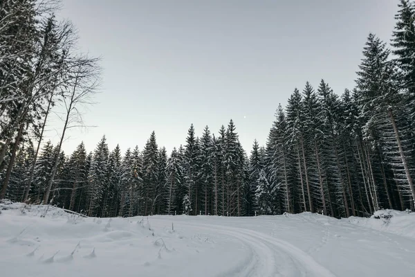Ein Mann fährt mit einem Snowboard einen schneebedeckten Hang hinunter — Stockfoto