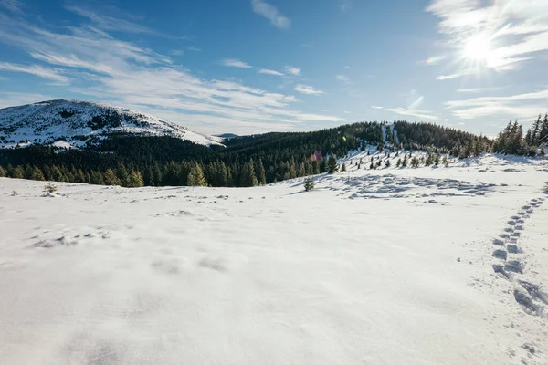 Eine schneebedeckte Hangfahrt — Stockfoto