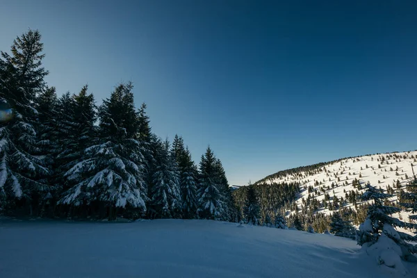 Eine Person fährt mit einem Snowboard einen schneebedeckten Hang hinunter — Stockfoto