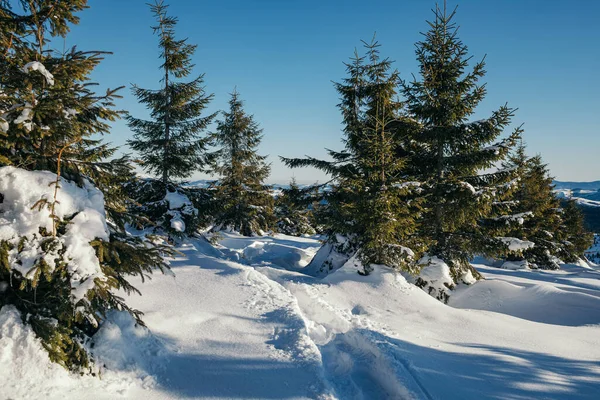 Ein Mann fährt mit Skiern einen schneebedeckten Hang hinunter — Stockfoto