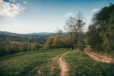 Yeşillik bir arazide bir tren
