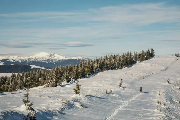 En man rider skidor ner för en snötäckt sluttning — Stockfoto