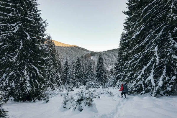 Um grupo de pessoas atravessa o país esquiando na neve — Fotografia de Stock