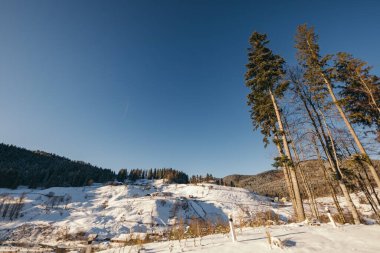 Kar kaplı bir köprü yolculuğu