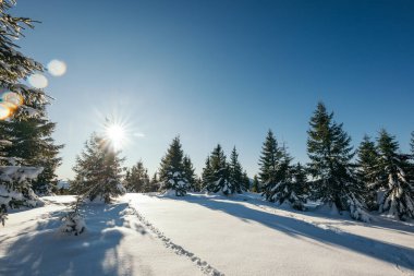 Karla kaplı yamaçta kayak yapan bir adam.