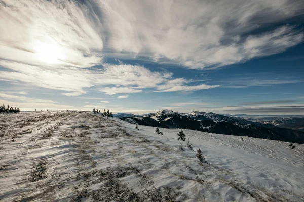 A group of people riding skis on top of a sandy beach — Stock Photo, Image