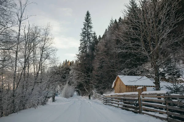 Gros plan d'une clôture en bois recouverte de neige — Photo