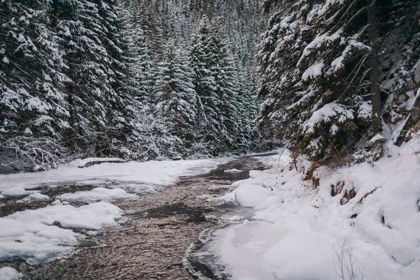 Eine schneebedeckte Bergreise — Stockfoto