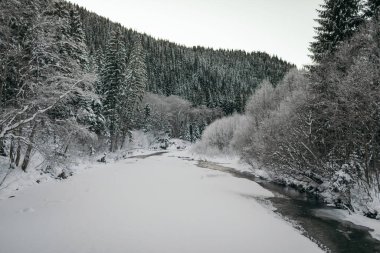 Karla çevrili bir göl.