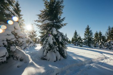 Karla kaplı yamaçta kayak yapan bir adam.
